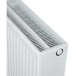 Радиатор стальной PKKPKP/33 300x900 (White) Thumb