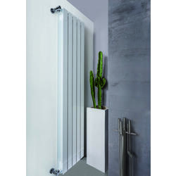 Радиатор алюминиевый Radiatori 2000 Kalis 1200 4elem (White) Thumb