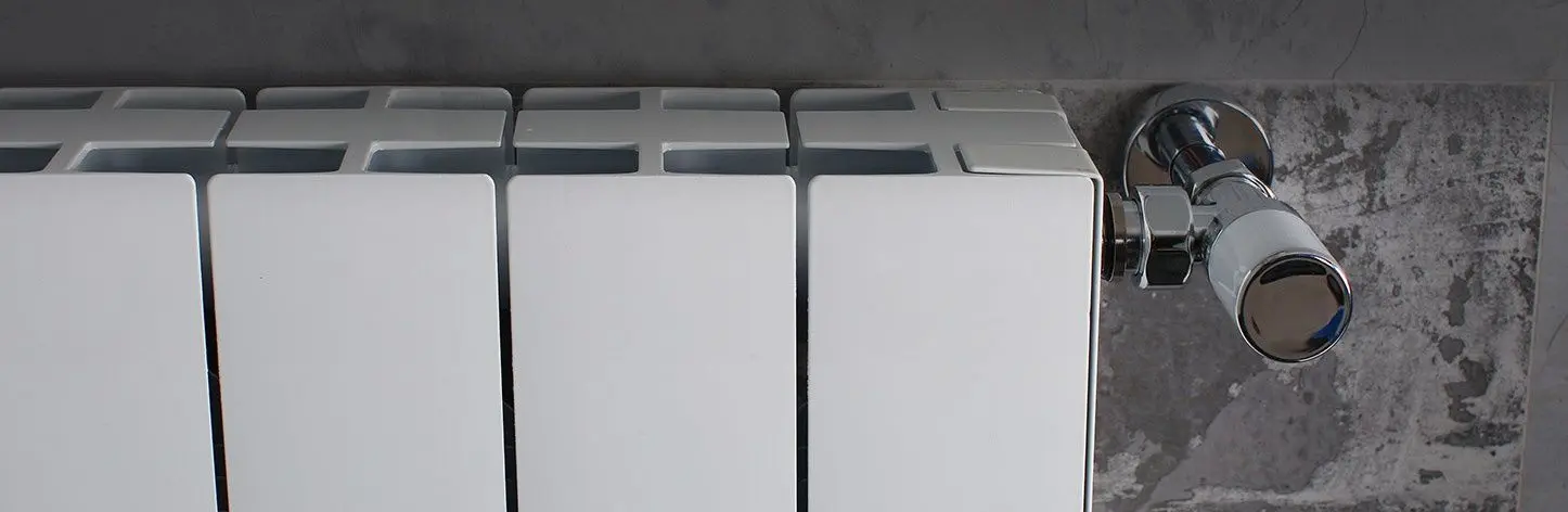 Радиатор алюминиевый Radiatori 2000 Plus Evo 800 (White)