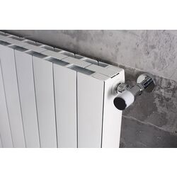 Радиатор алюминиевый Radiatori 2000 Plus Evo 800 (White) Thumb