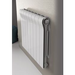 Радиатор Radiatori 2000 Ottimo 600 1 секция (White) Thumb