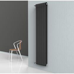 Радиатор Radiatori 2000 Ottimo Plus 1800 6elem (Anthracite) Thumb
