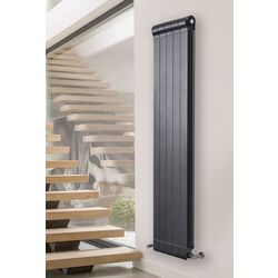 Радиатор Radiatori 2000 Ottimo Plus 2000 (Black) Thumb