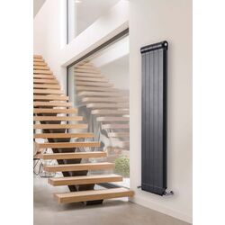 Радиатор алюминиевый Radiatori 2000 Ottimo Plus 2000 Anthracite (6 элементов) Thumb