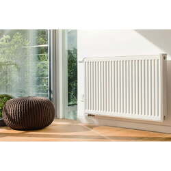 Радиатор стальной Vaillant K22 600х1200 (White) Thumb