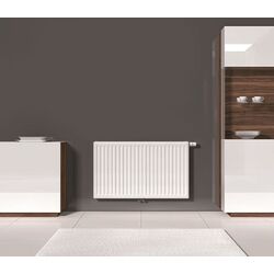 Radiator Vogel&Noot T6 22 500x1600 Thumb