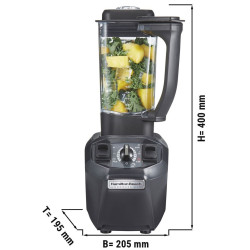 Blender Hamilton Beach Tango HBH455-CE (Grey) Thumb