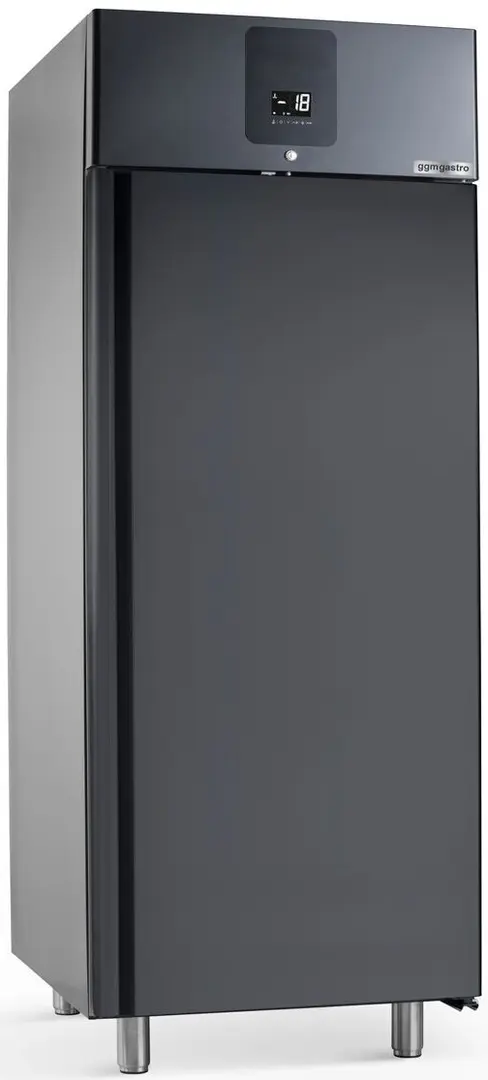 Dulap de congelare pentru inghetata GGM Gastro Premium ETKSSA647 (Anthracite)