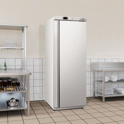 Морозильный шкаф GGM Gastro Eco TKSBL400E (Inox) Thumb