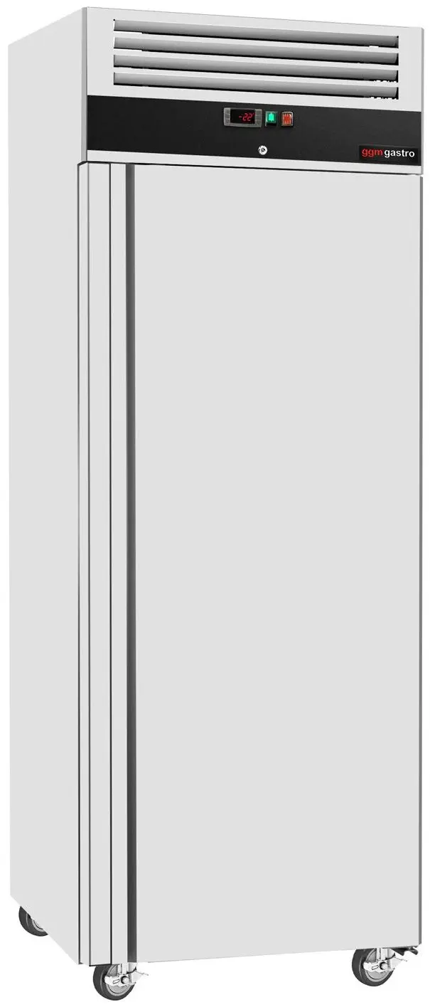 Dulap de congelare GGM Gastro Eco TKSJ650ND (Inox) - 5