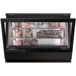 Шкаф для вызревания мяса GGM Gastro FRVI13B (Black) Thumb