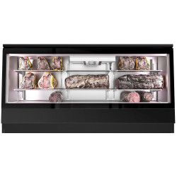 Шкаф для вызревания мяса GGM Gastro FRVI20B (Black) Thumb