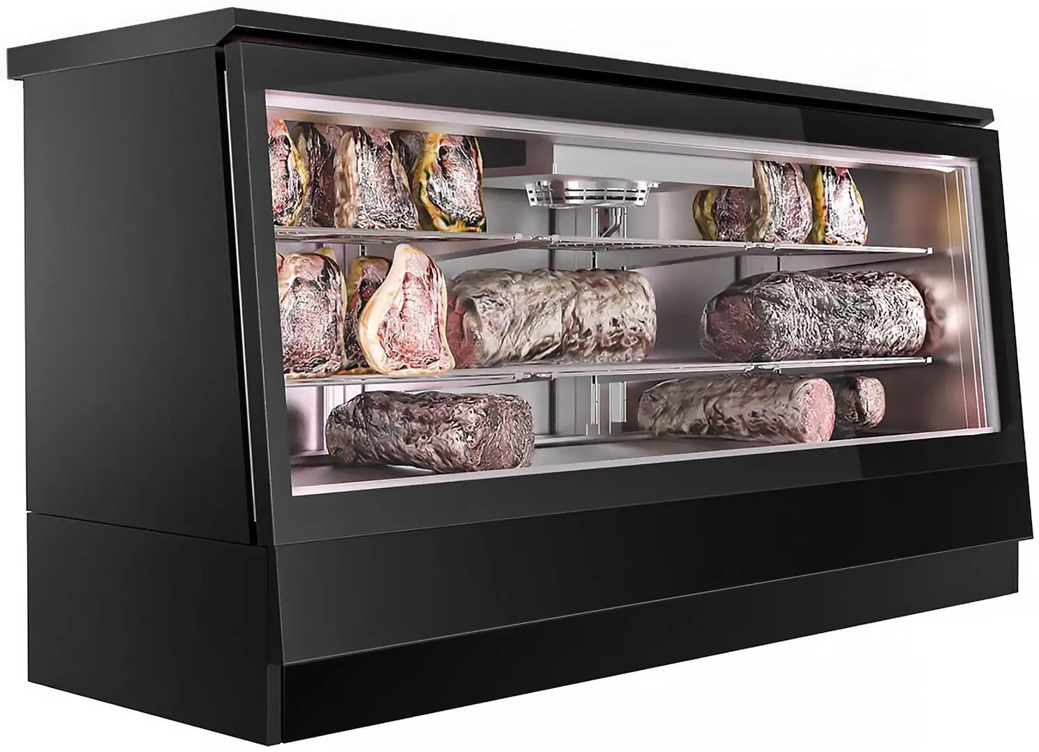 Шкаф для вызревания мяса GGM Gastro FRVI20B (Black)