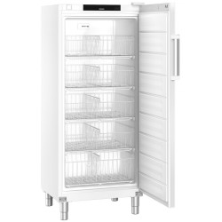 Dulap de congelare Liebherr Perfomance FFFsg 5501-40 (White) Thumb