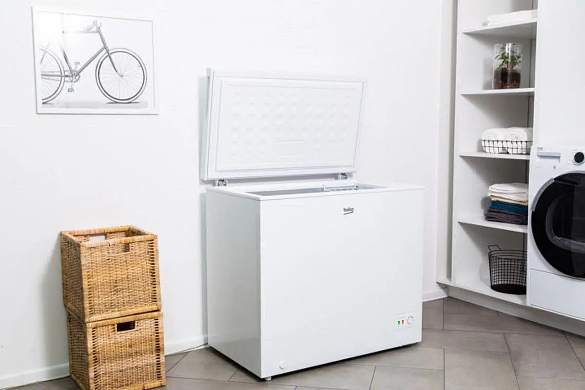 Морозильник-ларь Beko CF200W (White) - 8