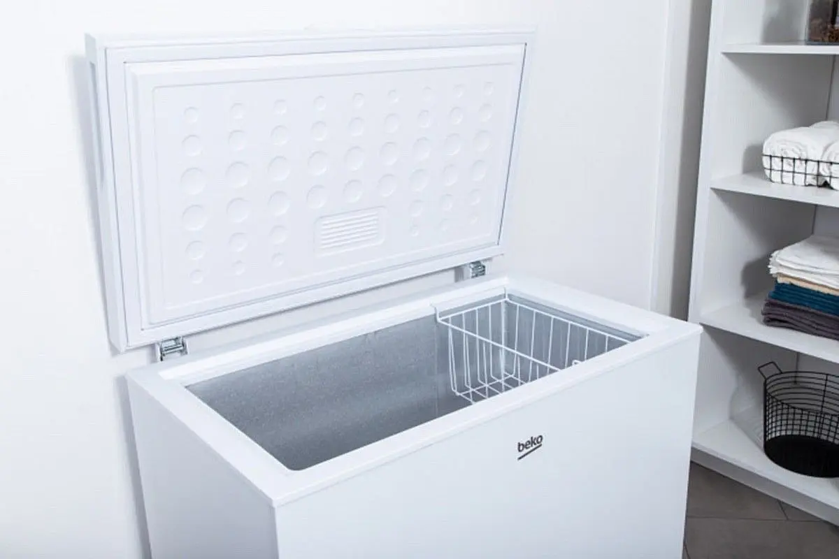 Морозильник-ларь Beko CF200W (White) - 9