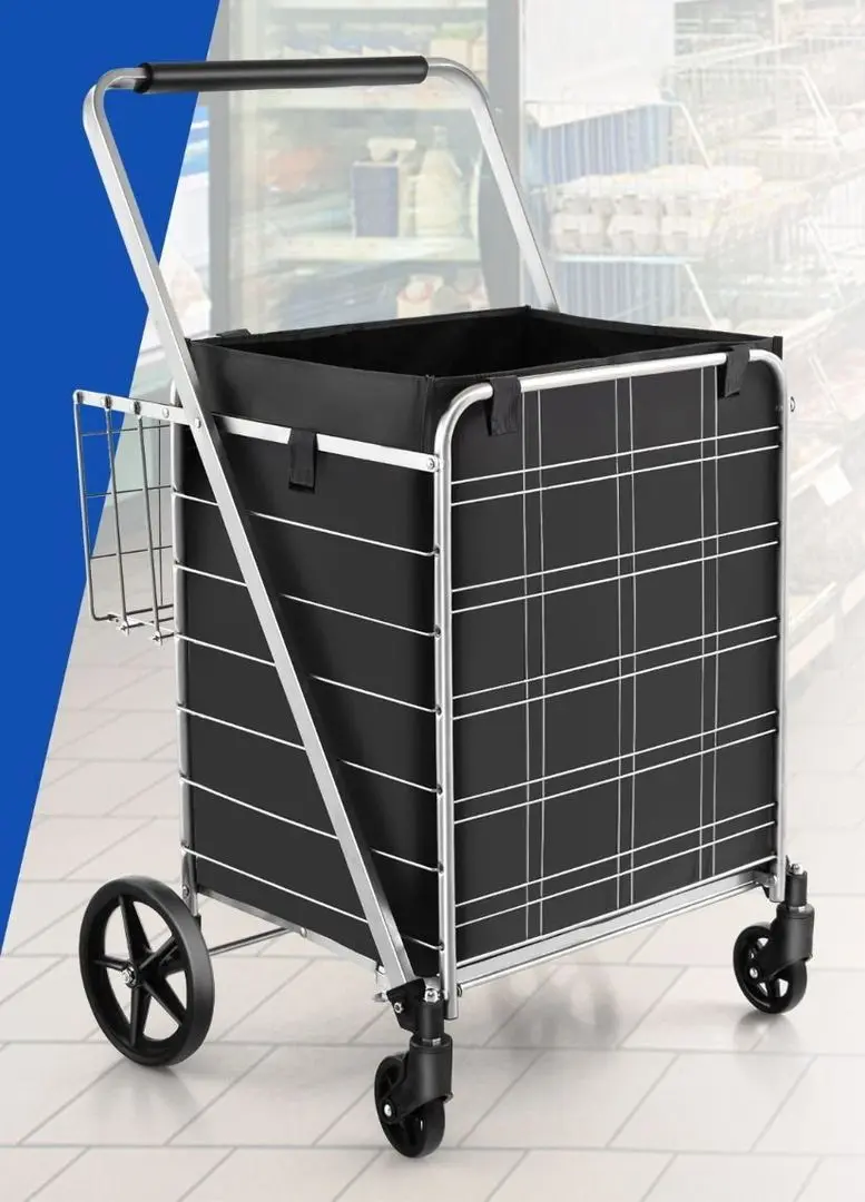 Carucior Costway TA10046SL (Silver)