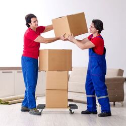 Carucior Costway TH10055 (Natural/Grey) Thumb