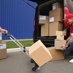 Carucior Outsunny E7-0006 (Silver/Black) Thumb