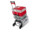 Carucior Procart FW70 (Silver/Black)