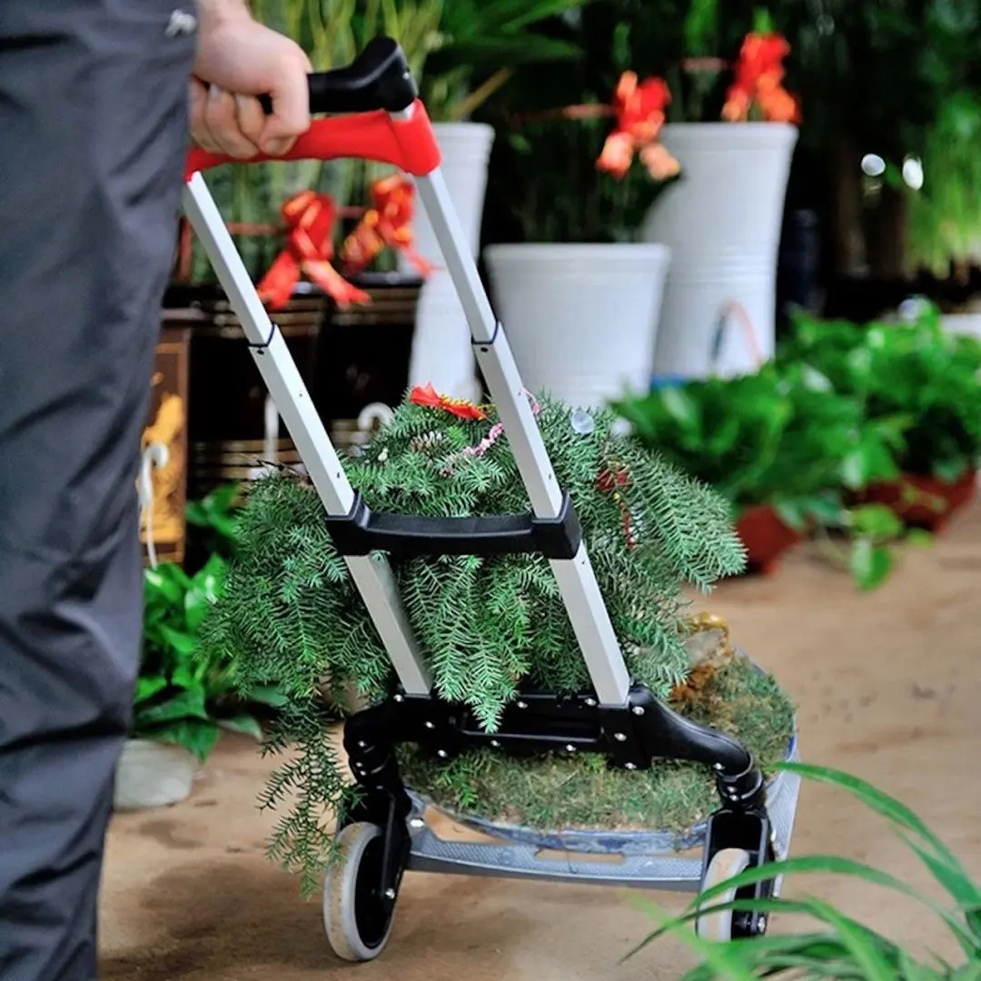 Carucior Procart FW70 (Silver/Black)