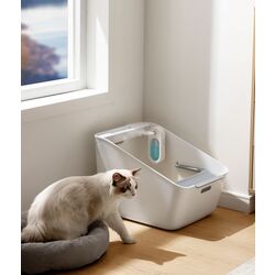 Eliminător de mirosuri pentru animale de companie Baseus Flora J1 (White) Thumb