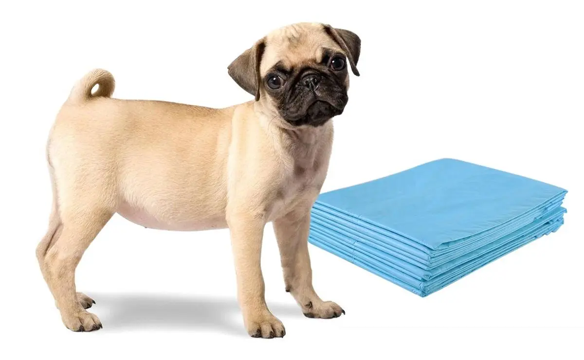 Комплект одноразовых пеленок для животных Costway PS7700 60x60 100pcs