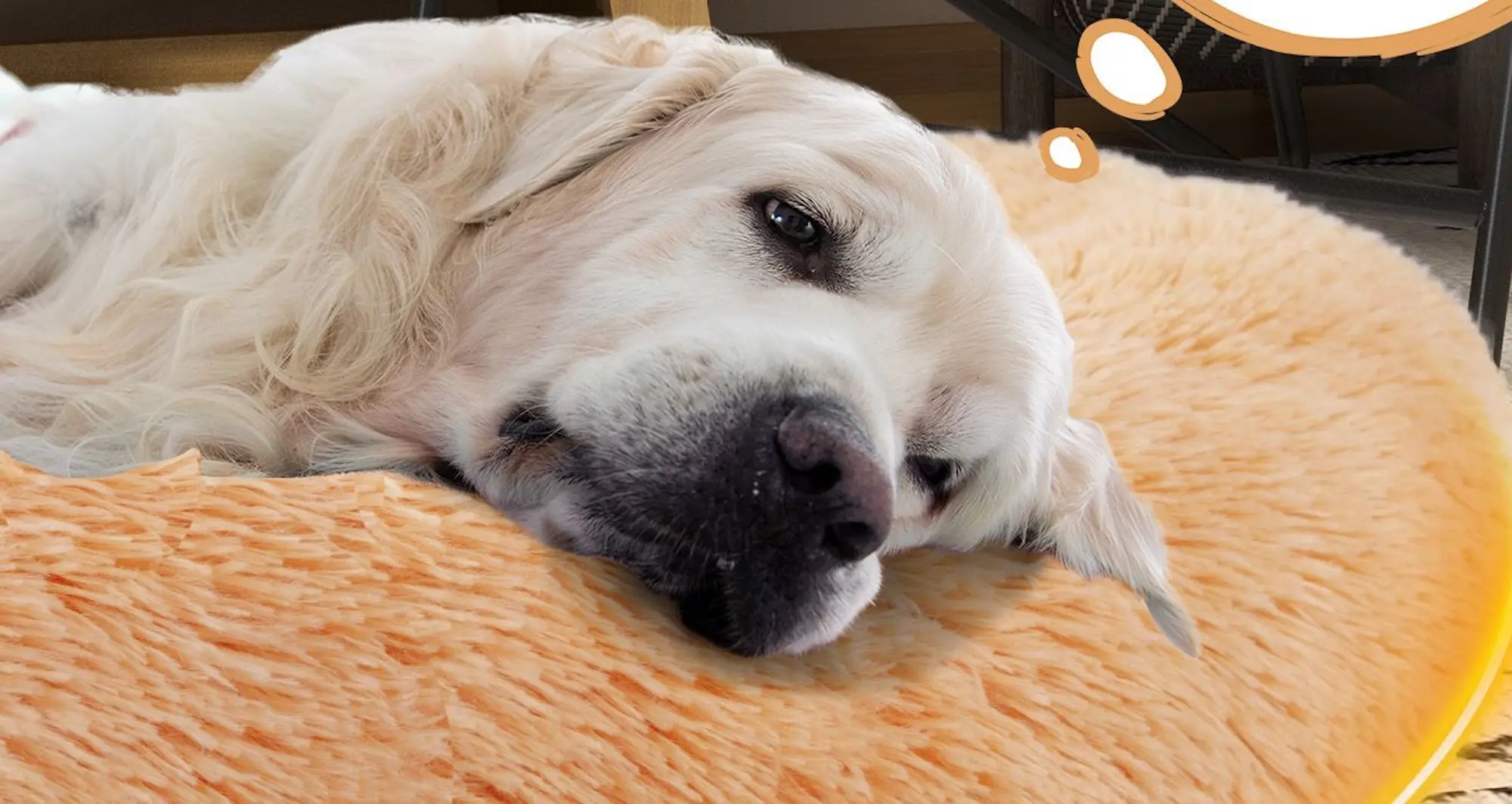 Culcus pentru animale Costway PU10036BN (Brown)