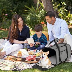 Purtator pentru animale pe roti Costway PV10093GR (Grey) Thumb