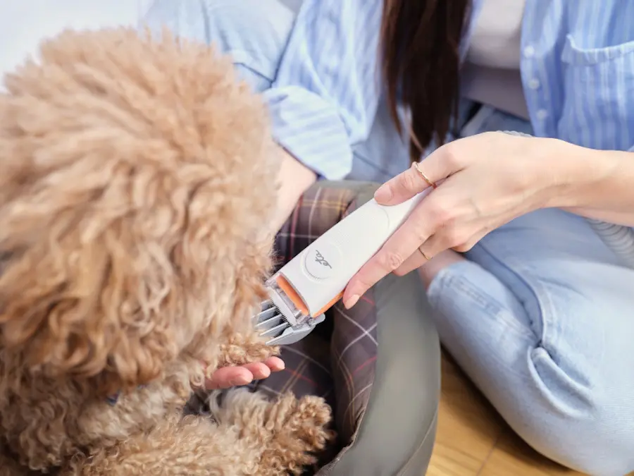 Набор для ухода за домашними животными 6в1 ETA PetMaster 4216 90000 (White/Orange)