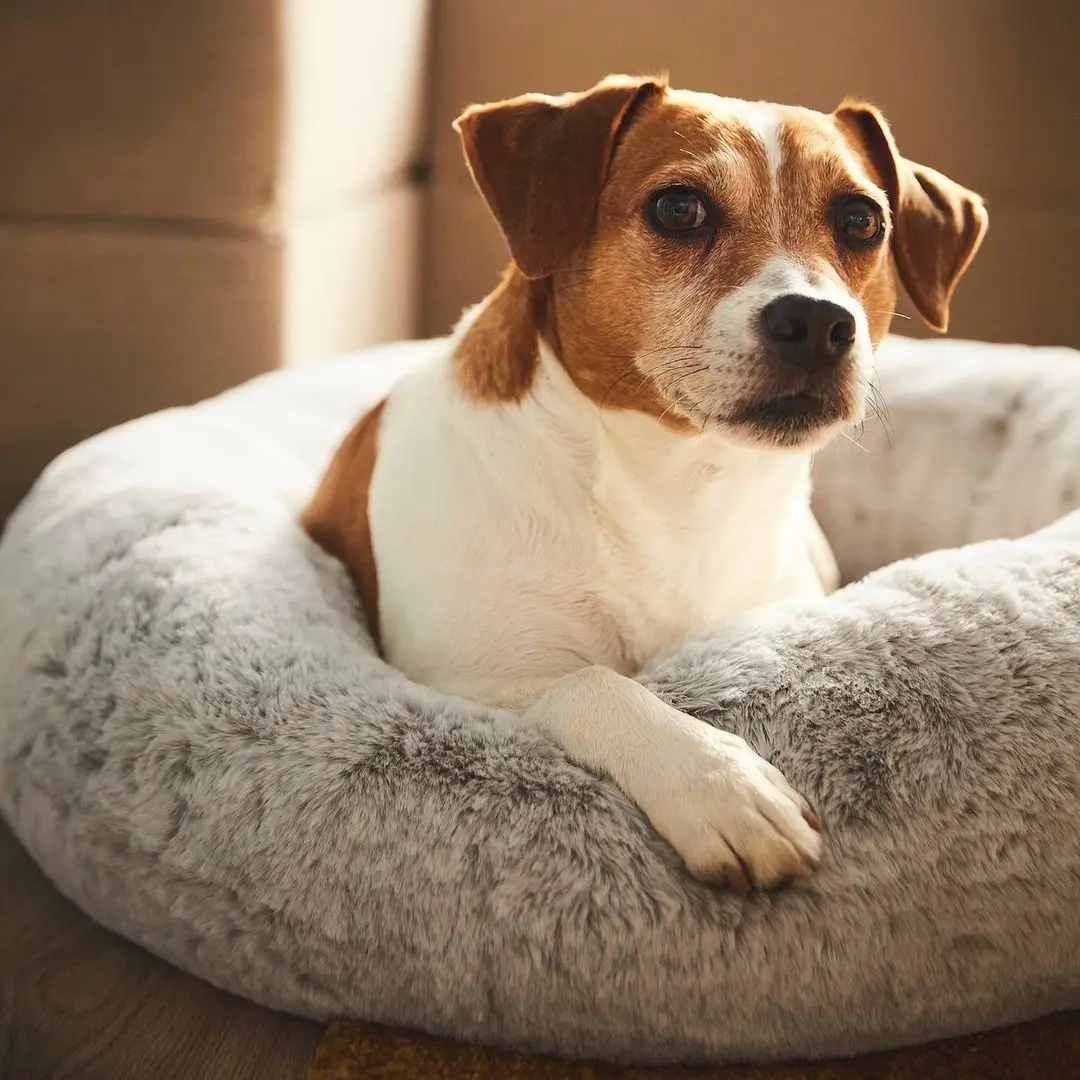 Culcus pentru animale Ikea Utsadd rotund L (Gri)