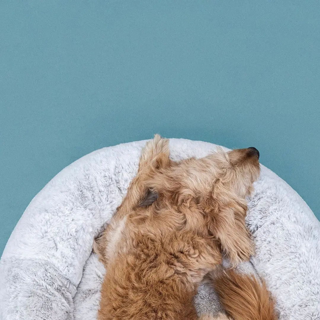 Culcus pentru animale Ikea Utsadd rotund M (Gri)