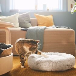 Culcus pentru animale Ikea Utsadd rotund S (Gri) Thumb