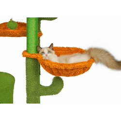Ansamblu de joaca pentru pisici Jumi CD-264946 (Green/Orange) Thumb