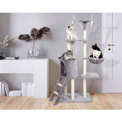 Ansamblu de joaca pentru pisici Jumi CD-264960 (Grey/White) Thumb