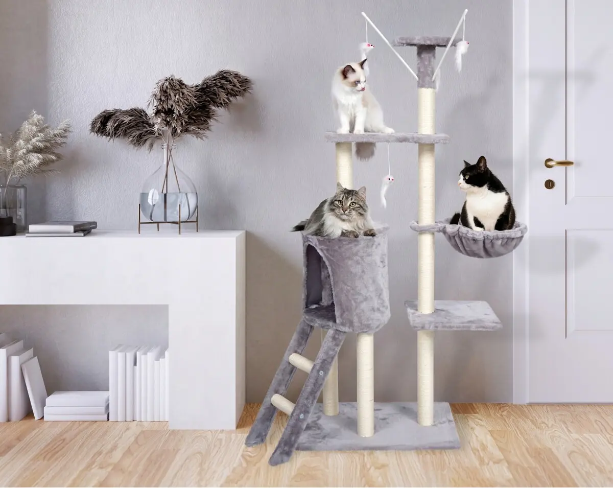 Ansamblu de joaca pentru pisici Jumi CD-264960 (Grey/White) - 6