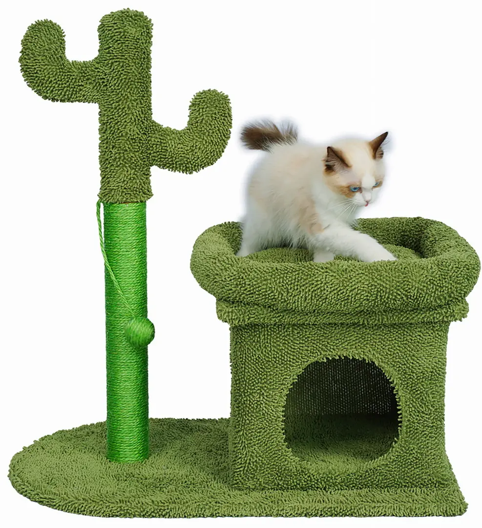 Pat cu zgarietor Jumi D-264953 (Green) - 2