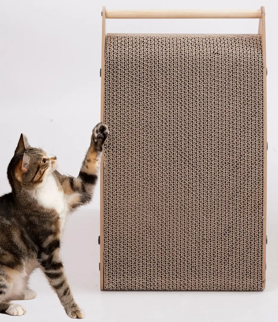 Pat cu zgarietor Jumi CD-324466 (Beige) - 5