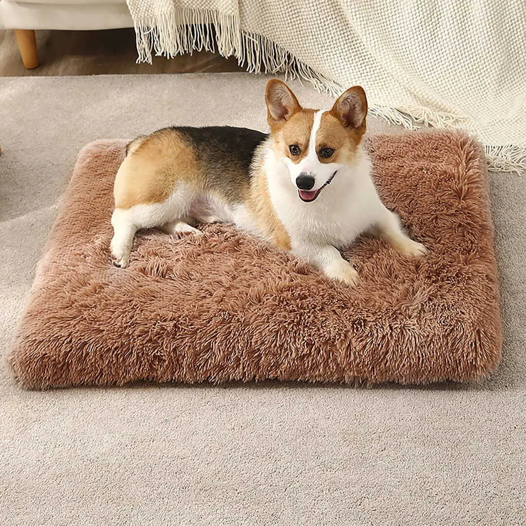 Culcus pentru animale Jumi CD-319820 (Brown)