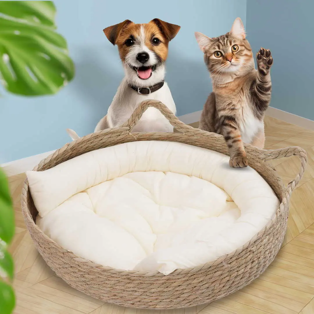 Culcus pentru animale Jumi CD-321229 (Beige) - 5