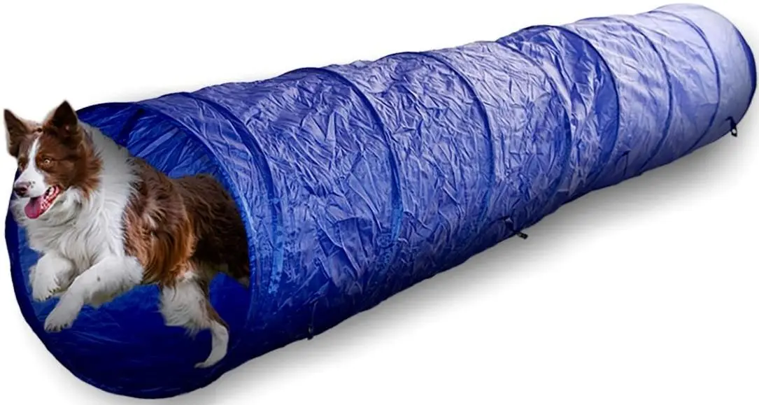 Tunel de joacă pentru câini Maxxpro 268316 (Blue)