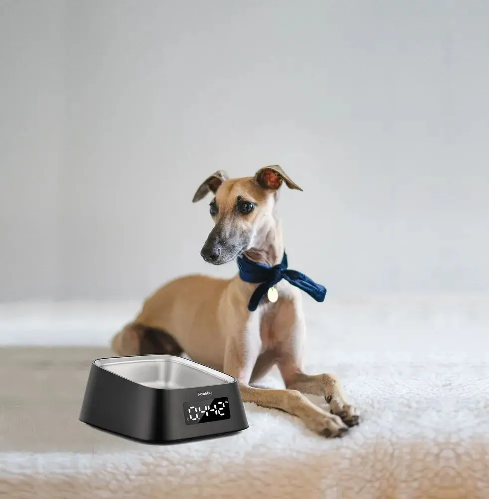Vasul cu cântare Pawbby MG-ZN001-EU (Black/Inox) - 4
