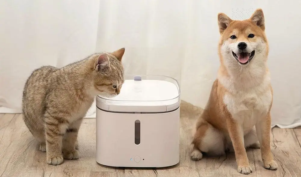 Fântână cu apă Pawbby MG-WF001EU (White) - 6