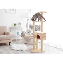 Ansamblu de joaca pentru pisici PawHut D30-167 (Beige) Thumb