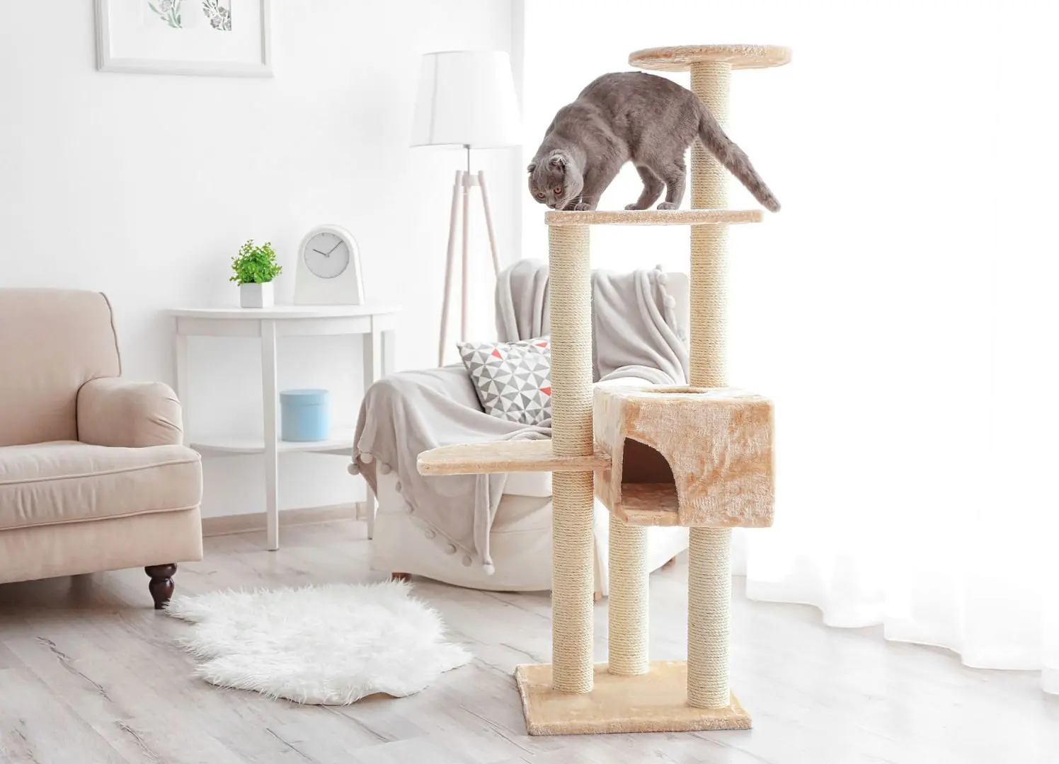 Ansamblu de joaca pentru pisici PawHut D30-167 (Beige) - 6