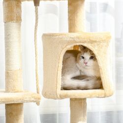 Ansamblu de joaca pentru pisici PawHut D30-167 (Beige) Thumb