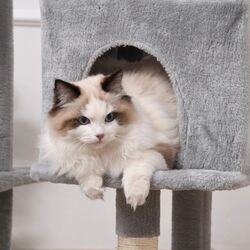 Игровой комплекс для кошек PawHut D30-350 (Light Grey/Beige) Thumb