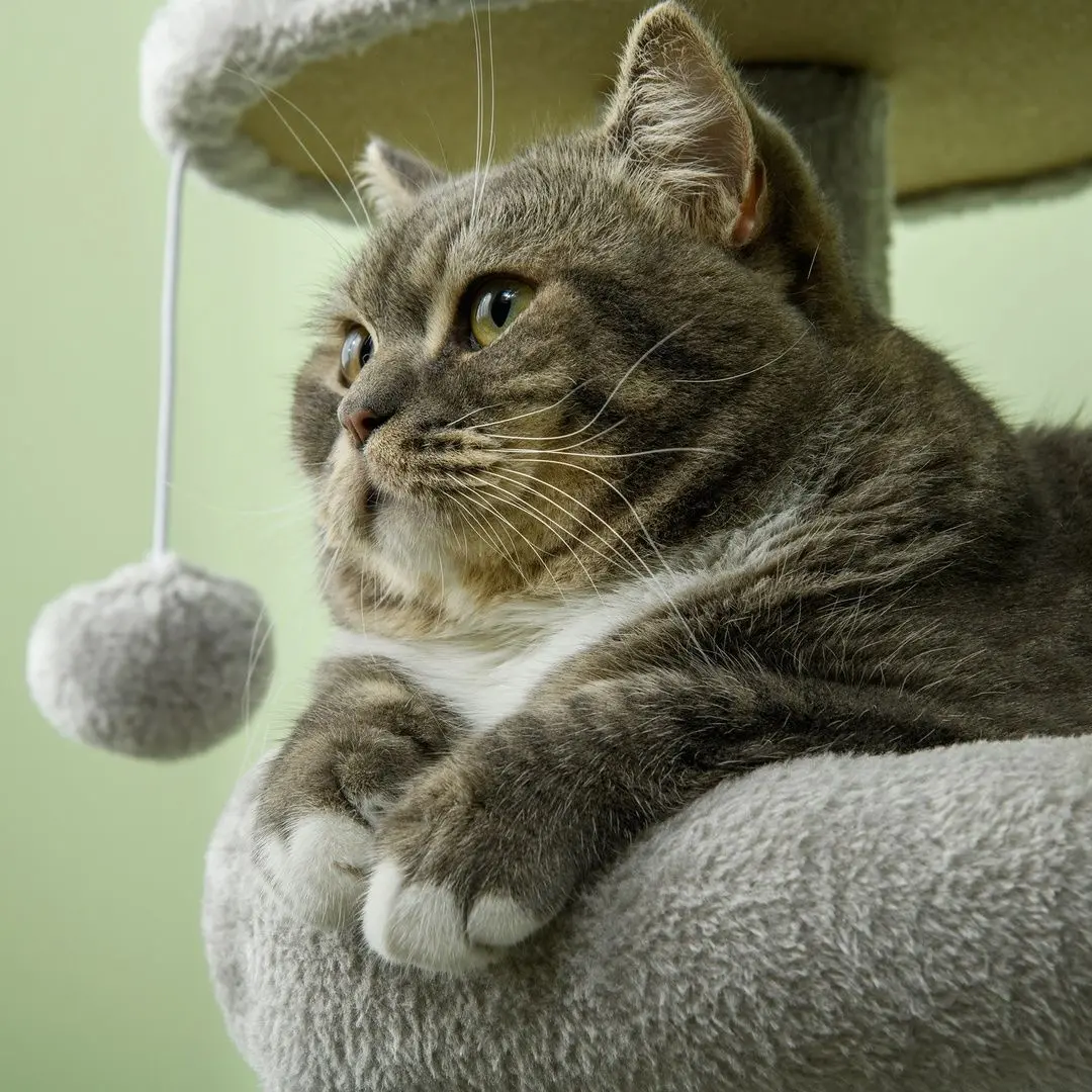 Игровой комплекс для кошек PawHut D30-749V00LG (Light Grey/Beige) - 8