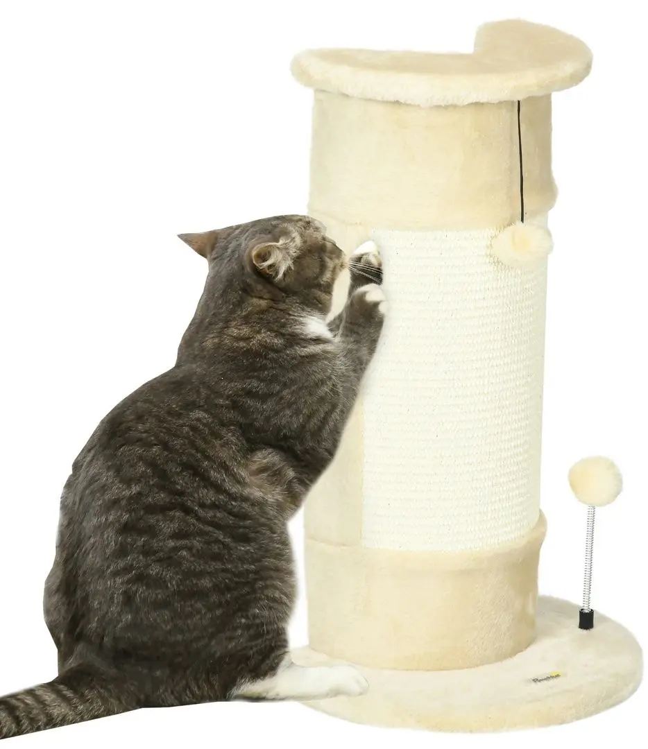 Zgarietor PawHut D30-700V00BG (Beige/White-Cream)