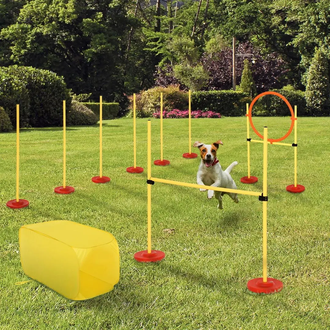 Набор Agility для дрессировки собак PawHut D07-024 (Yellow) - 3